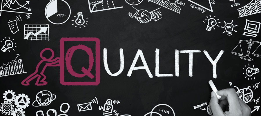Lavorare in qualità: audit 2020