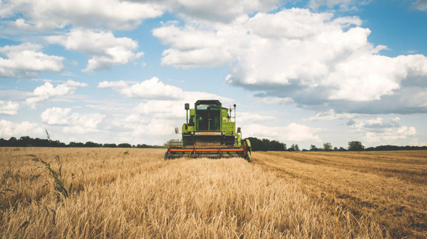 Traduzioni nel settore zootecnico, agrotecnico e veterinario