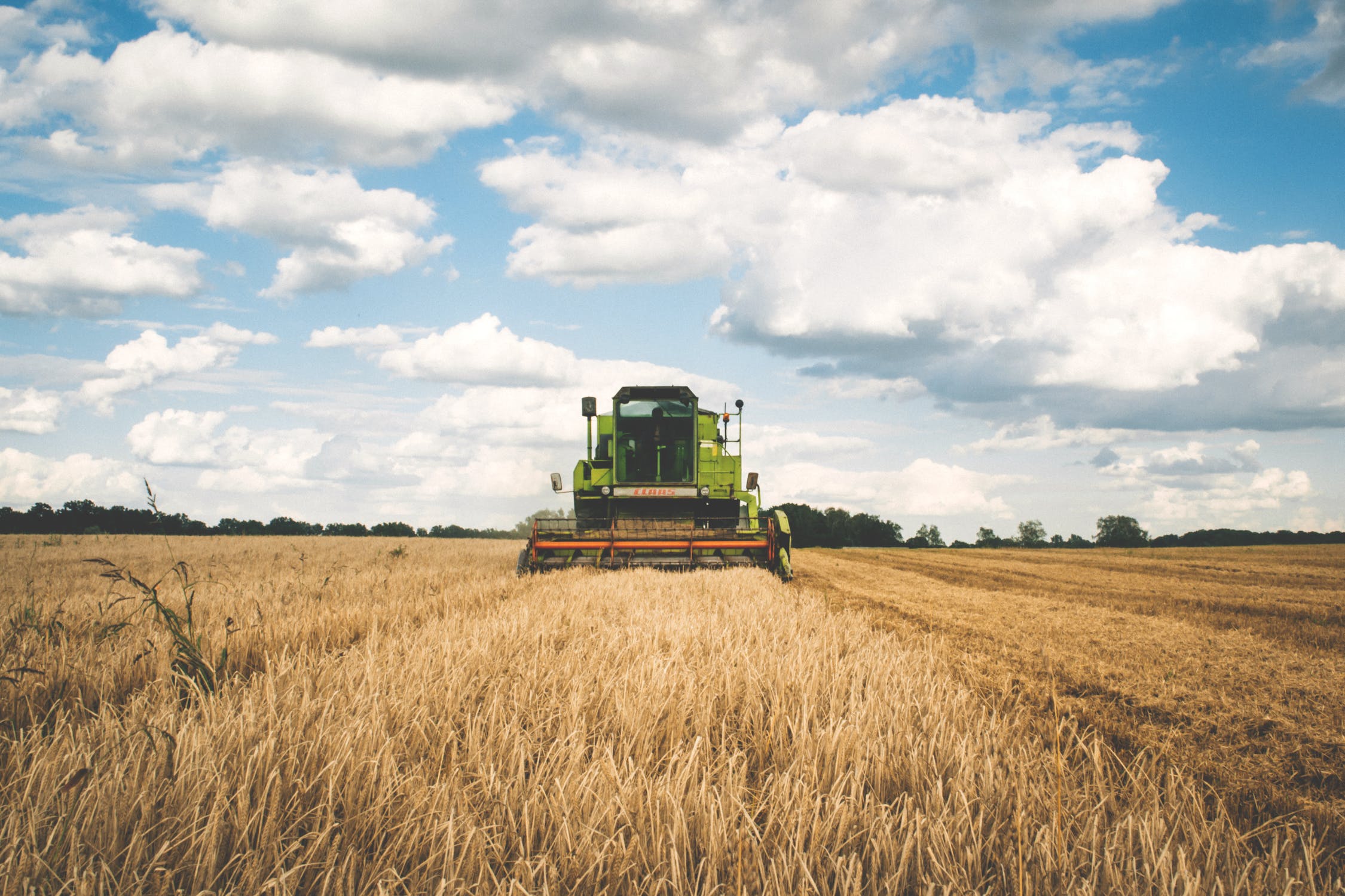 Traduzioni nel settore zootecnico, agrotecnico e veterinario